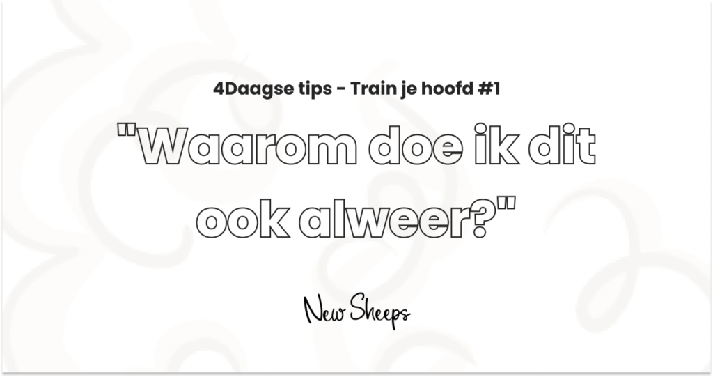 4Daagse tips