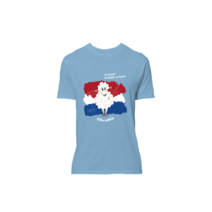 Blauwe dinsdag shirt
