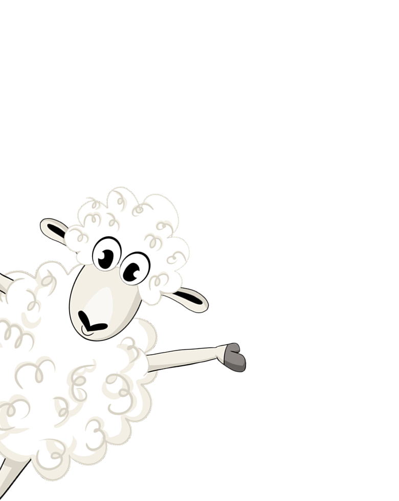 NewSheeps schaap