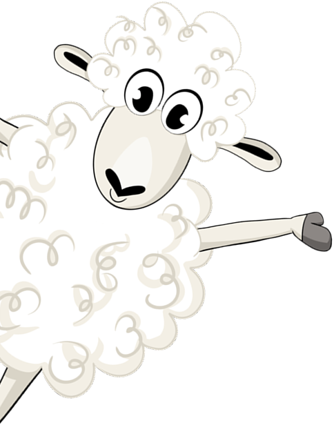 NewSheeps schaap