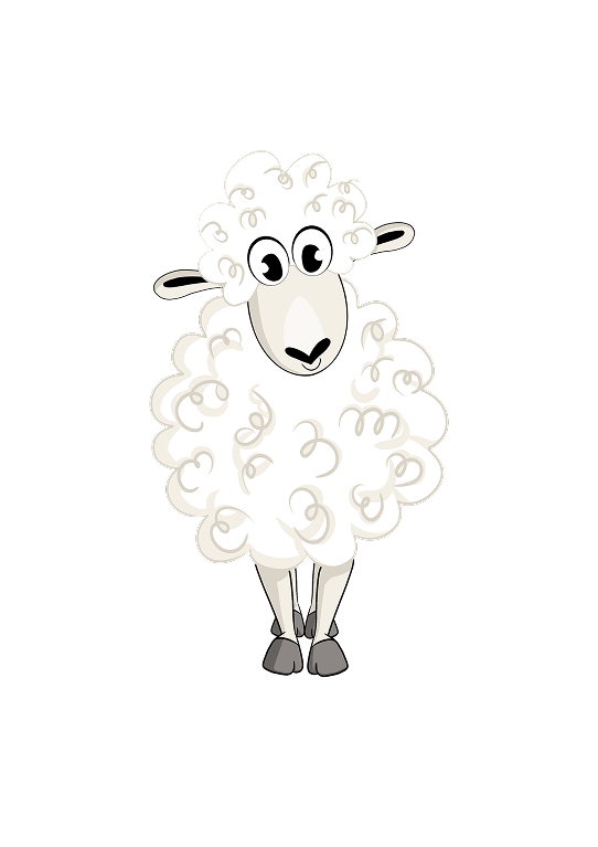 New Sheep