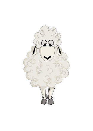 Sheep